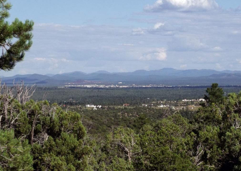 #13. Navajo County